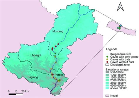 Bats Survey In Kaligandaki Canyon Of Nepal Basant Sharma 1 Updates