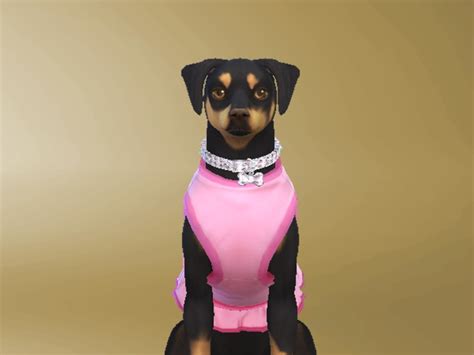 The Sims Sims Cc Sims 4 Pets Summer Mini Skirt Big Dog Collars
