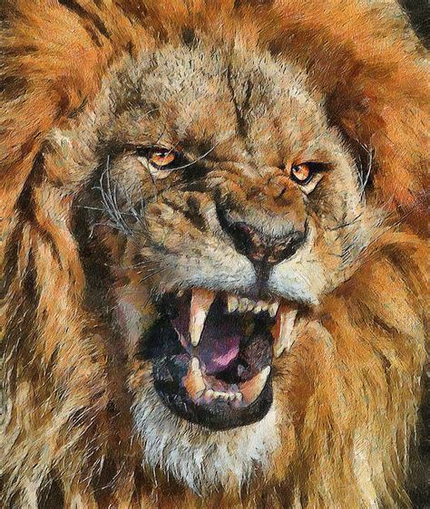 Lions Big Cats Canine Tooth Fangs Roar 2696x3200 Lion Close Up Face