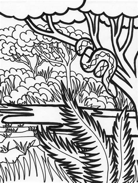 Boa Snake Rainforest Animal Coloring Page Download And Print Online