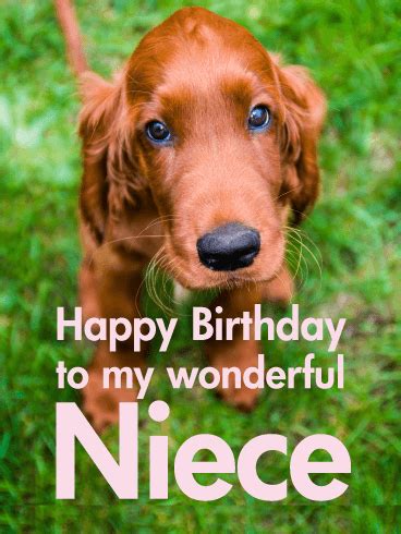 The free animal birthday cards offered on alibaba.com are available in plain, as well as attractive variants meant to commemorate birthdays, anniversaries and festivals, among other events. 30 Awesome Cute Animal Birthday Greeting Card Images & Pictures - Funnyexpo