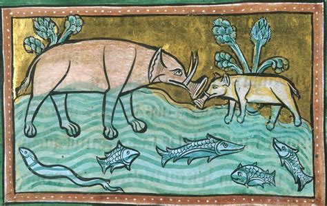 While a browse through a medieval bestiary will reveal creatures unfamiliar with to the modern reader. mediumaevum | Medieval paintings, Medieval art, Animals