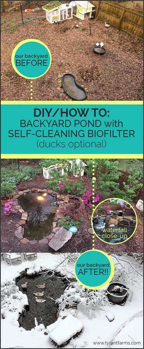 Duck pond design is made easy, check out this blog by duck and koi pond expert mike the wetland filter is also aesthetically pleasing when it comes to integrating it into the overall design of the pond. How to build a DIY backyard pond with self-cleaning biofilter