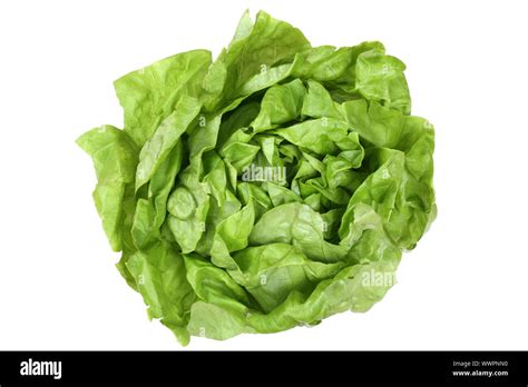 Lettuce Head Lettuce Vegetables From Above Cut Out Isolated Stock Photo