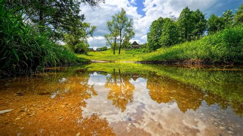 Wallpaper Landscape Nature Reflection River Stream Wetland