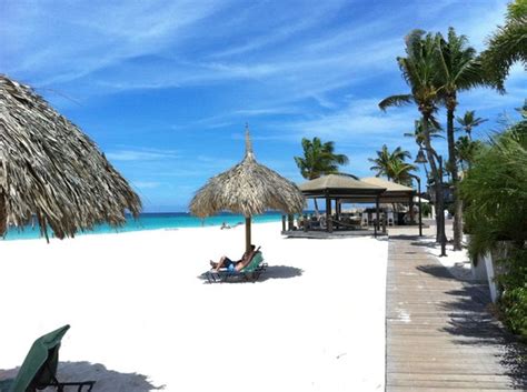 Gorgeous Divi Beach Picture Of Divi Aruba All Inclusive Oranjestad