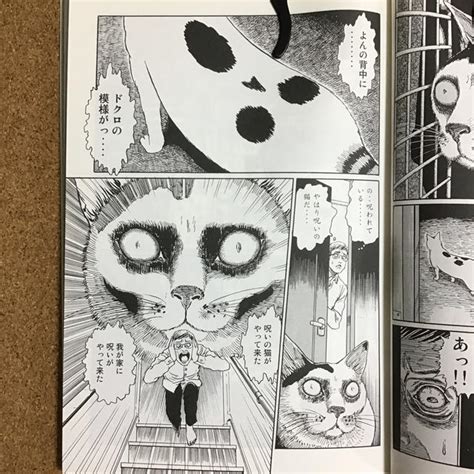 Discover new books on goodreads. 伊藤潤二の猫日記 よん＆むーの通販 by punka punka｜ラクマ