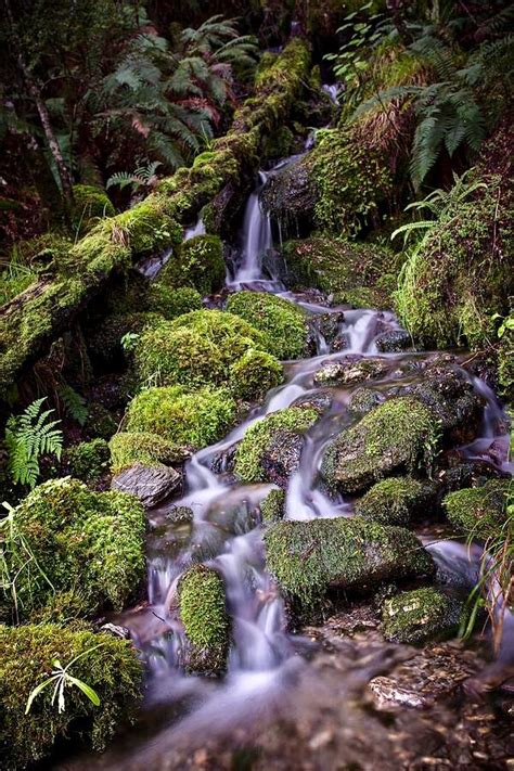 Majestic Waterfall In Rees Valley New Zealand