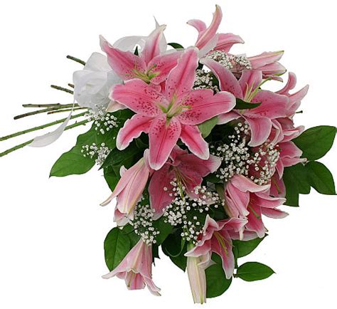 Pink Lily Bouquet Bq42aa Canada Flowers