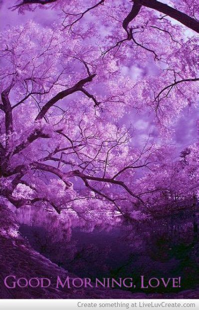 Good Morning Love Violet Purple Realms Pinterest Good Morning