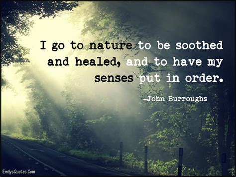 I Go To Nature To Be Soothed And Healed And To Have Popular