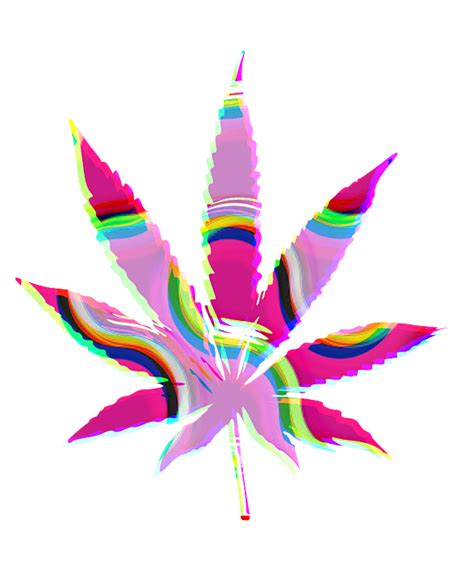 Cannabis Rainbow Design 100 T Shirt For Sale By Kaylin Watchorn