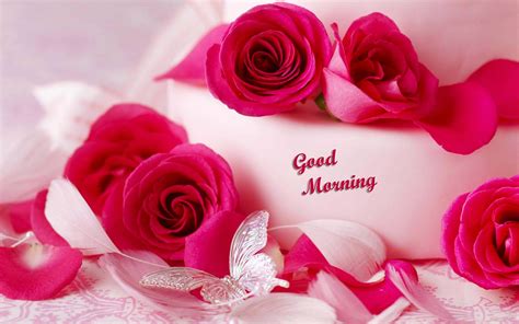 Extensive Collection Of Romantic Good Morning Images Over 999