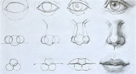 This tutorial gives you a basic look at the shapes and anatomy needed for drawing realistic noses. How to Draw a Nose Easy Step by Step for Beginners - Do It ...