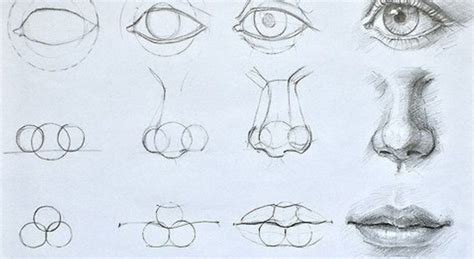 It's pretty clear to me they were trying to start trouble and drag you into an argument but you handled it with class and poise. How to Draw a Nose Easy Step by Step for Beginners - Do It ...
