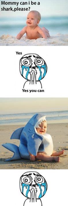 34 Best Hilarious Shark Memes Images Sharks Funny