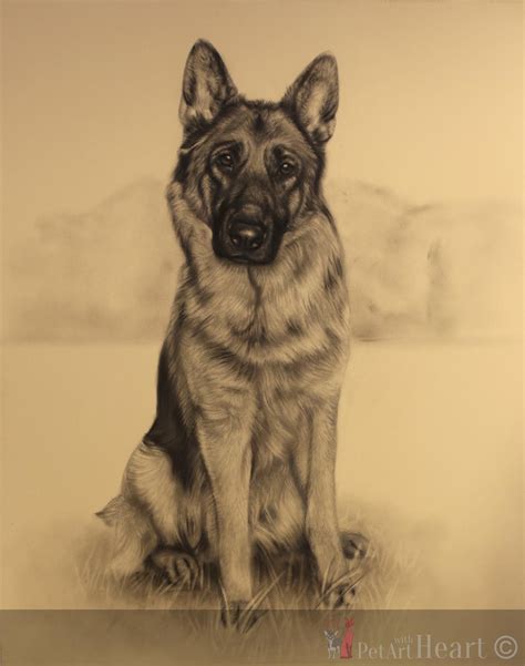 Pastel Portrait Of German Shepherd In Progress On The Easel
