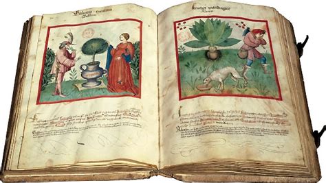 How Were Books Made In The Middle Ages About History