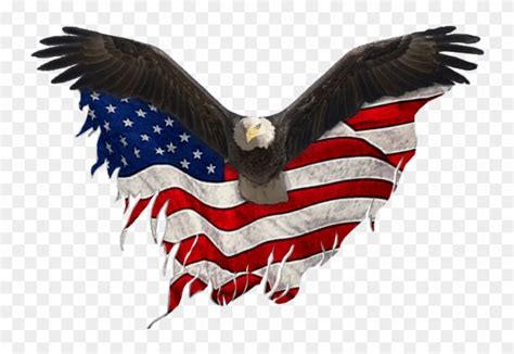 Usa Eagle Png Eagle United States Png Transparent Png 748x533