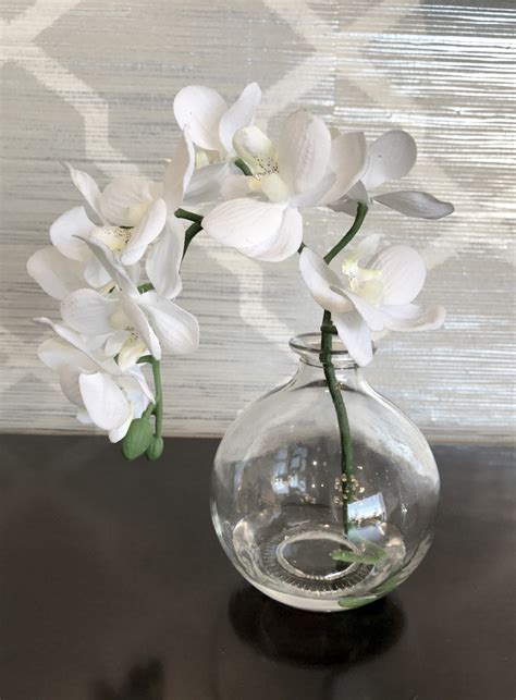 Perfect White Orchid In A Glass Vase Ocean Blu Designs