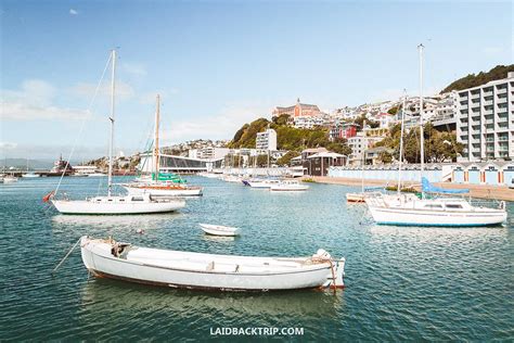 Wellington Best Things To Do In The Capital Of New Zealand — Laidback Trip