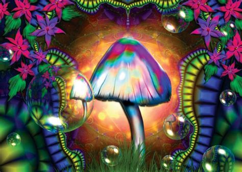 Magic Mushrooms Trippy Digital Poster Art Print Amk481 Ebay