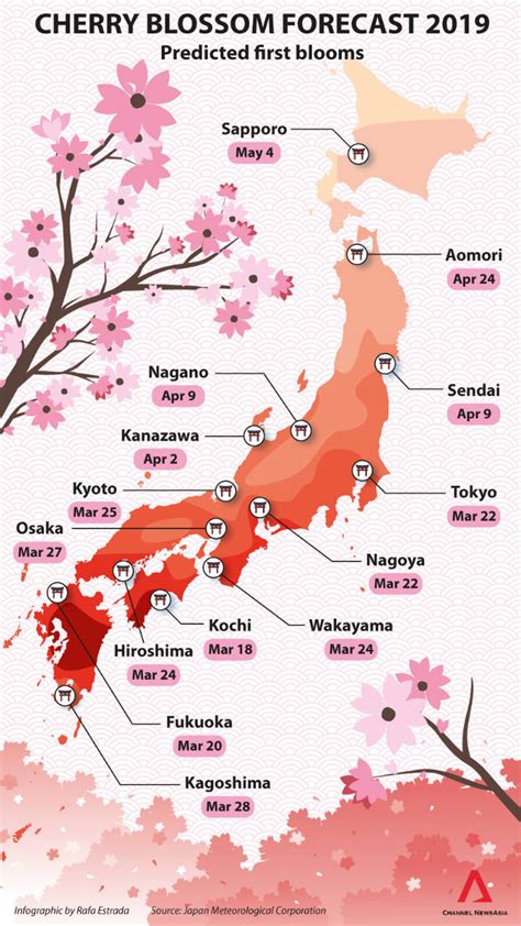 Japanese Culture Calendar Hanami Season