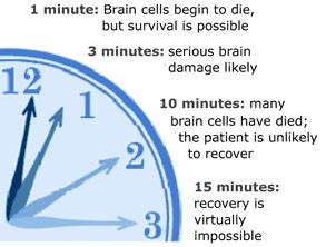 Cm 1567077 the camel can go a long time without water and food. How Long Can The Brain Go Without Oxygen Before SERIOUS ...