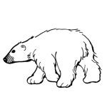 Bears coloring pages – Coloring pages