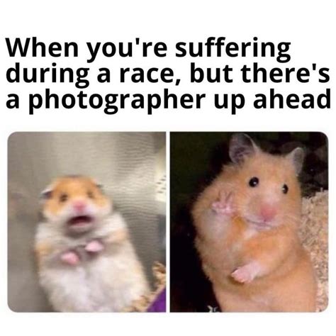 Hamster Ciego Meme Crying Hamster Meme Peace Sign Giblrisbox Wallpaper