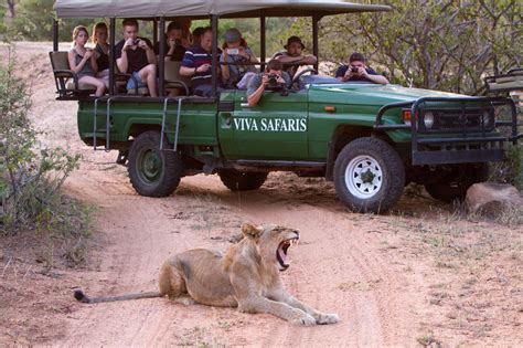 10 Top Things To Do In Kruger National Park 2020 Activity Guide Expedia
