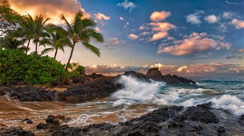Tropical Landscape Ocean Palm Coast Rock Band The Sky Clouds Maui Hawaii Pacific 3840x2160