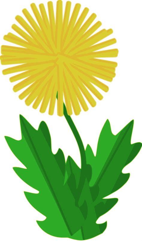 Onlinelabels Clip Art Flower Dandelion