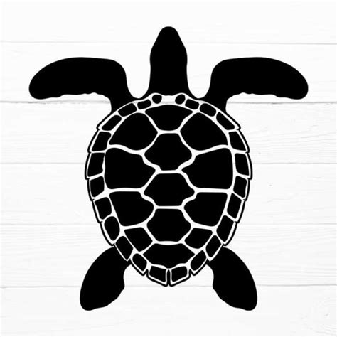 Sea Turtle SVG Free Collection For Crafters | Designer Mission