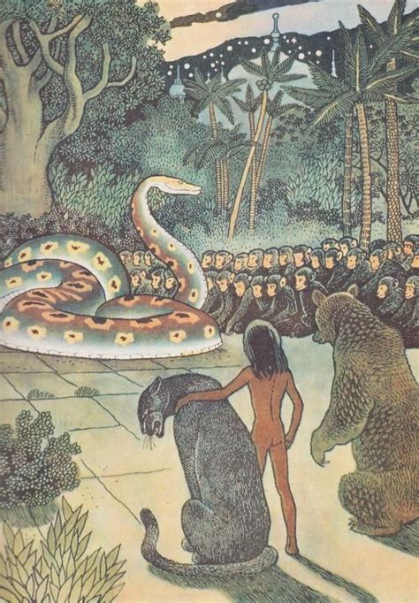 Rudyard Kipling The Jungle Book Mowgli Story Drawings By P Sadkov
