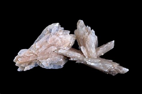 Gypsum (var. Selenite) - Celestial Earth Minerals