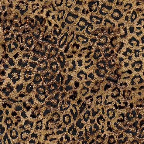 Leopard Leopard Skin Collection Cotton Fabric By Timeless Treasures