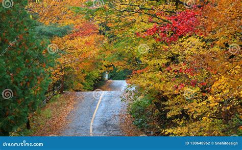 Quebec Countryside In Autumn Time Stock Photo Image Of Maine Trees