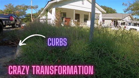 OVERGROWN CITY LAWN TRANSFORMATION LIONS LAWN SERVICES YouTube