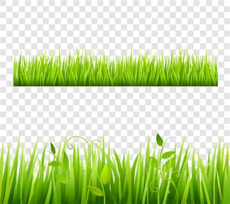 Download High Quality grass clipart vector Transparent PNG Images - Art