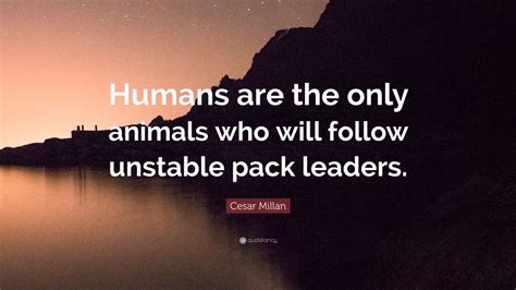 Cesar Millan Quote “humans Are The Only Animals Who Will Follow