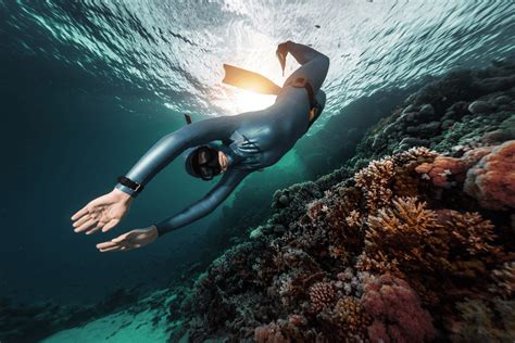 What Is The Deepest Free Dive Diving Info