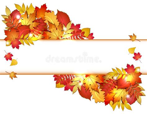 Autumn Banner With Leaves Stock Vector Image Of Frame 34229140