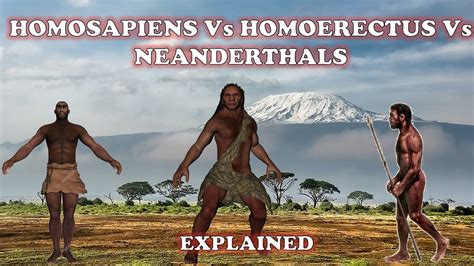 Homo Erectus The First Humans Homo Erectus คือ Th1 Egg