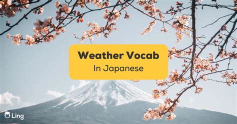 Japanese Climate Vocabulary 25 Straightforward Phrases To Use In Each