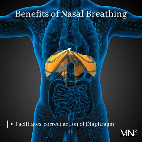 Benefits Of Nasal Breathing Smile Specialists