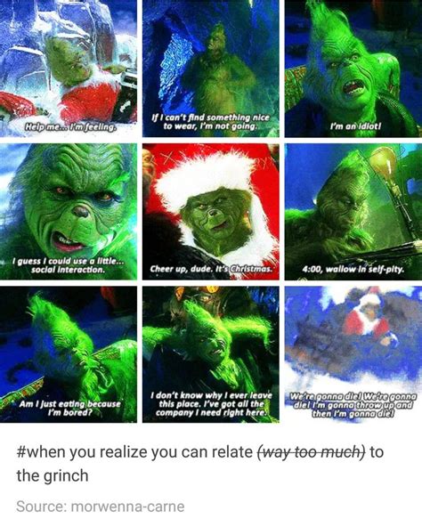When You Realize Youre Actually The Grinch Really Funny Pictures