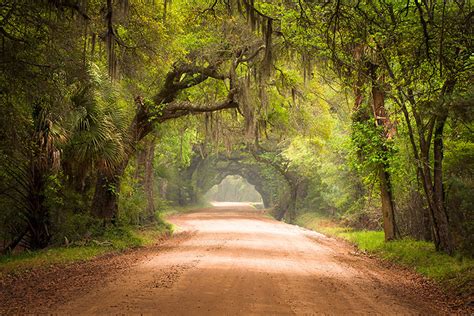 Ace Basin Dirt Road Botany Bay Edisto Island Landscape Photography