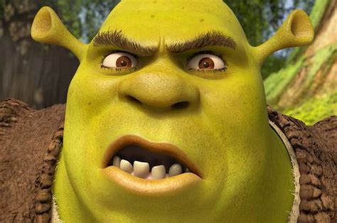 Sheenaowens Picture Of Shrek