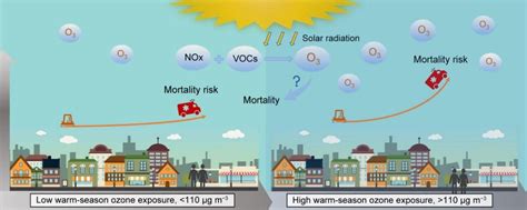 High Ozone Exposure Linked To Increased Mortality New Insights From A